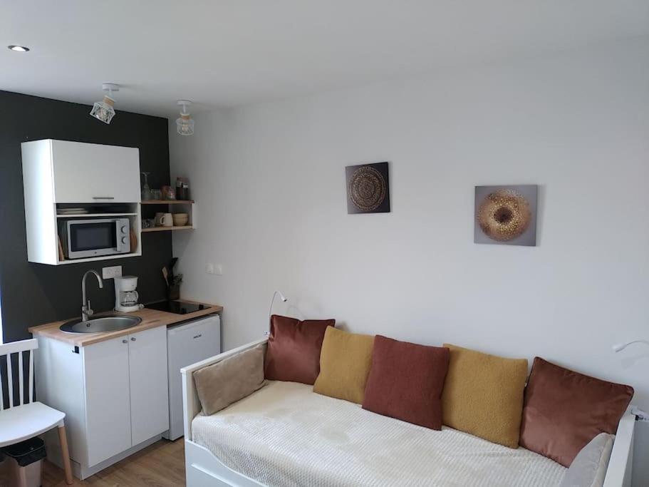 un salon avec un canapé et une cuisine dans l'établissement Studio rénové hypercentre, à Amiens