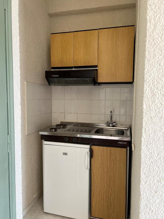 Kuchyň nebo kuchyňský kout v ubytování Kores Aegina