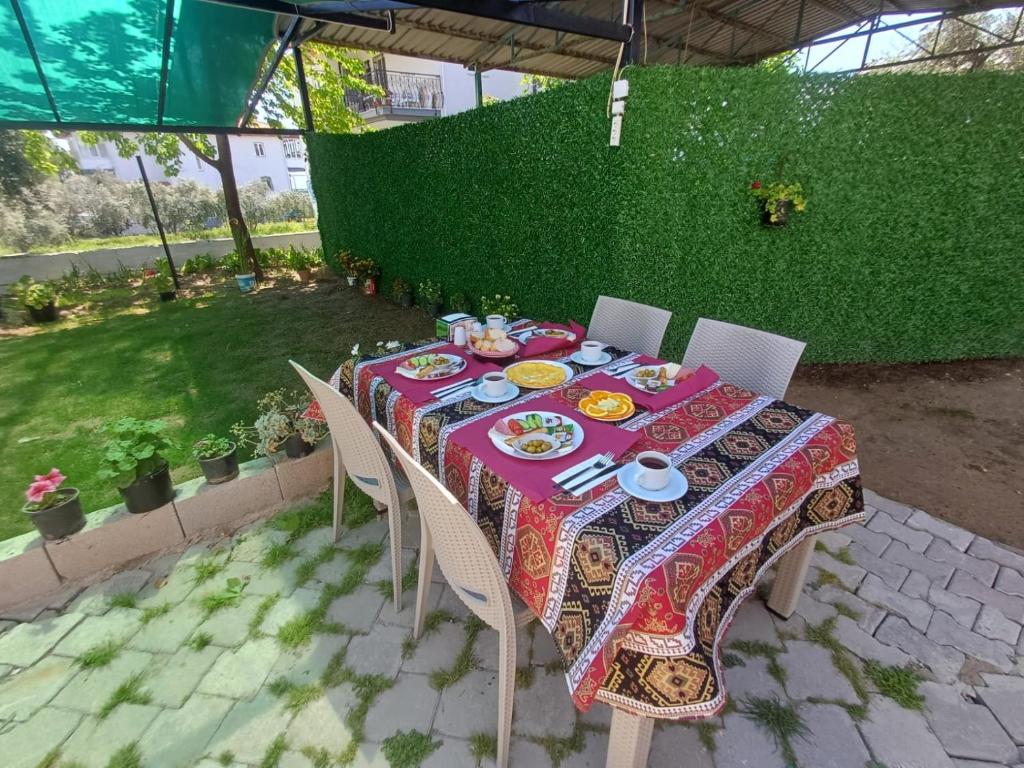 Zahrada ubytování Olive House