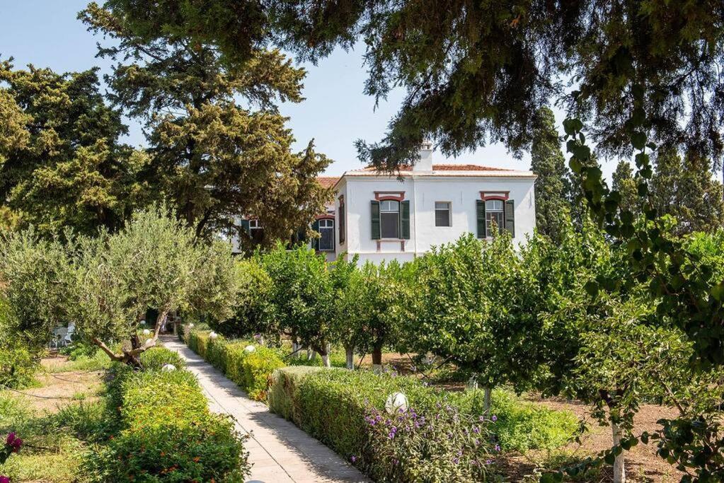 dom na środku ogrodu z drzewami w obiekcie Calvocoressi Estate w Chios