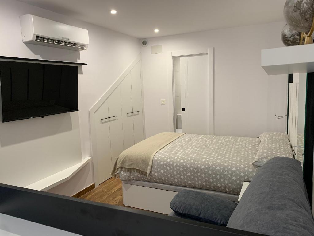 Apartamentos Lux Carrión - 2