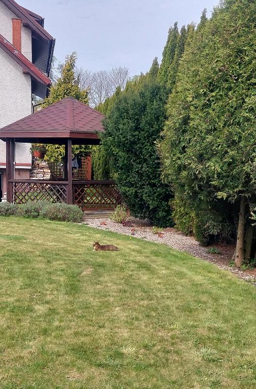 Wanta Kołobrzeg - 16