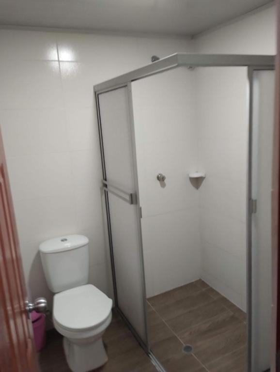 e bagno con servizi igienici e cabina doccia in vetro. di La Piedra Pintada de los Muiscas a Ibagué