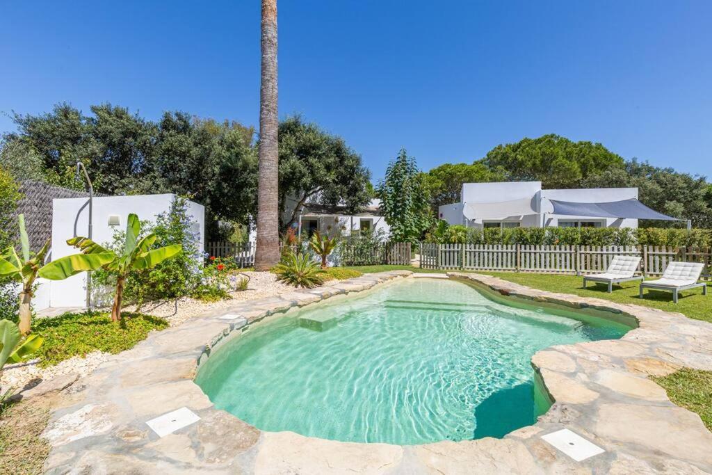 a small swimming pool in a yard with a palm tree at CASA LUZ. Casas Los Elementos. in Zahora