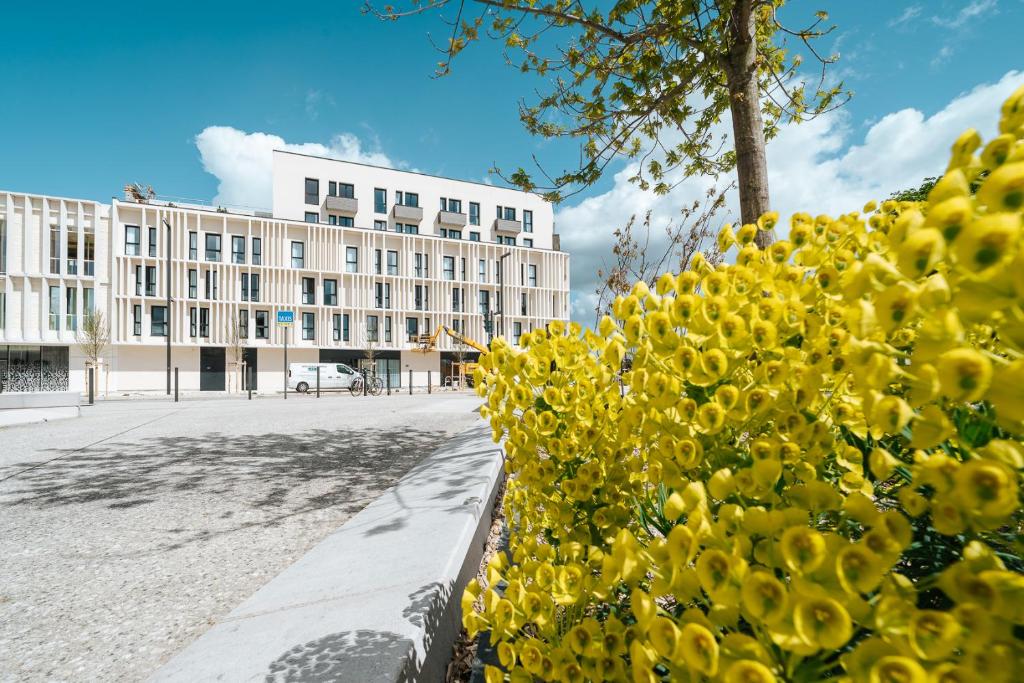 Beelodge Hotel Blois Centre في بلوا: تحوط من الزهور الصفراء أمام المبنى