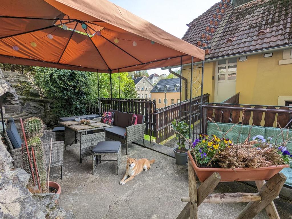 a dog laying on a patio with an umbrella at Waldblickwohnung für bis zu 5P mit Kamin und Sauna in Sebnitz