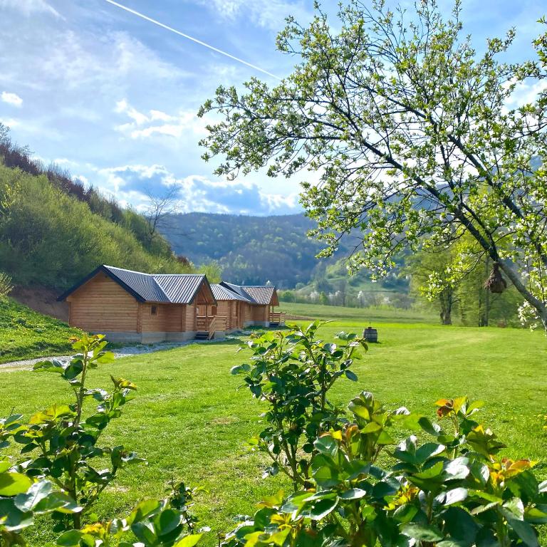 Příroda nedaleko apartmánu