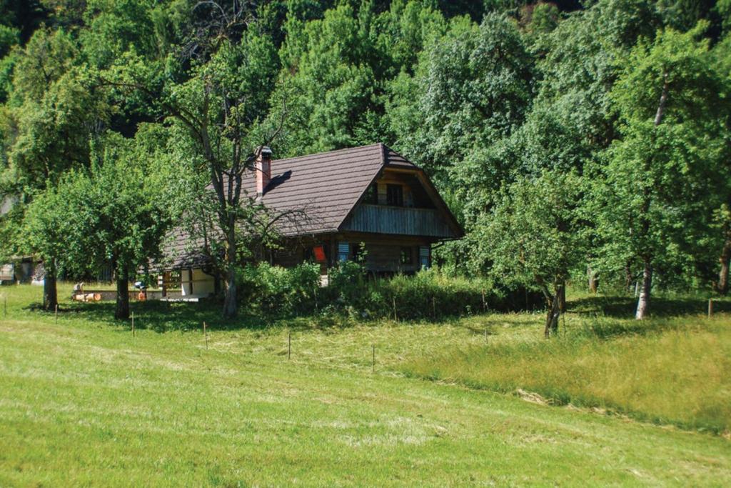 dom na środku pola z drzewami w obiekcie Chalet Kupljenik Near Bled Lake w mieście Bohinjska Bela