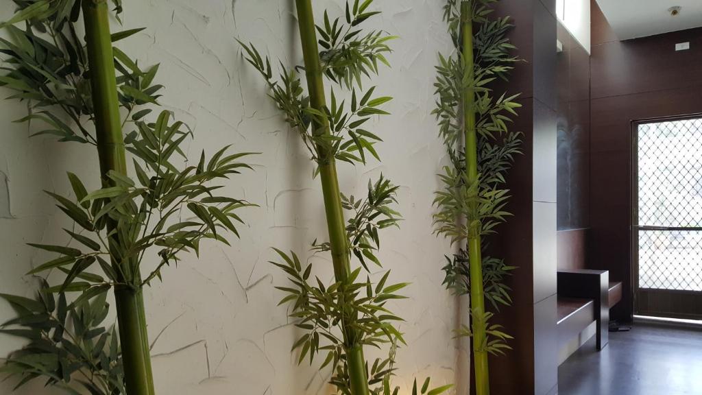 a row of bamboo plants on a wall in a room at Yang Home Stay in Ruisui