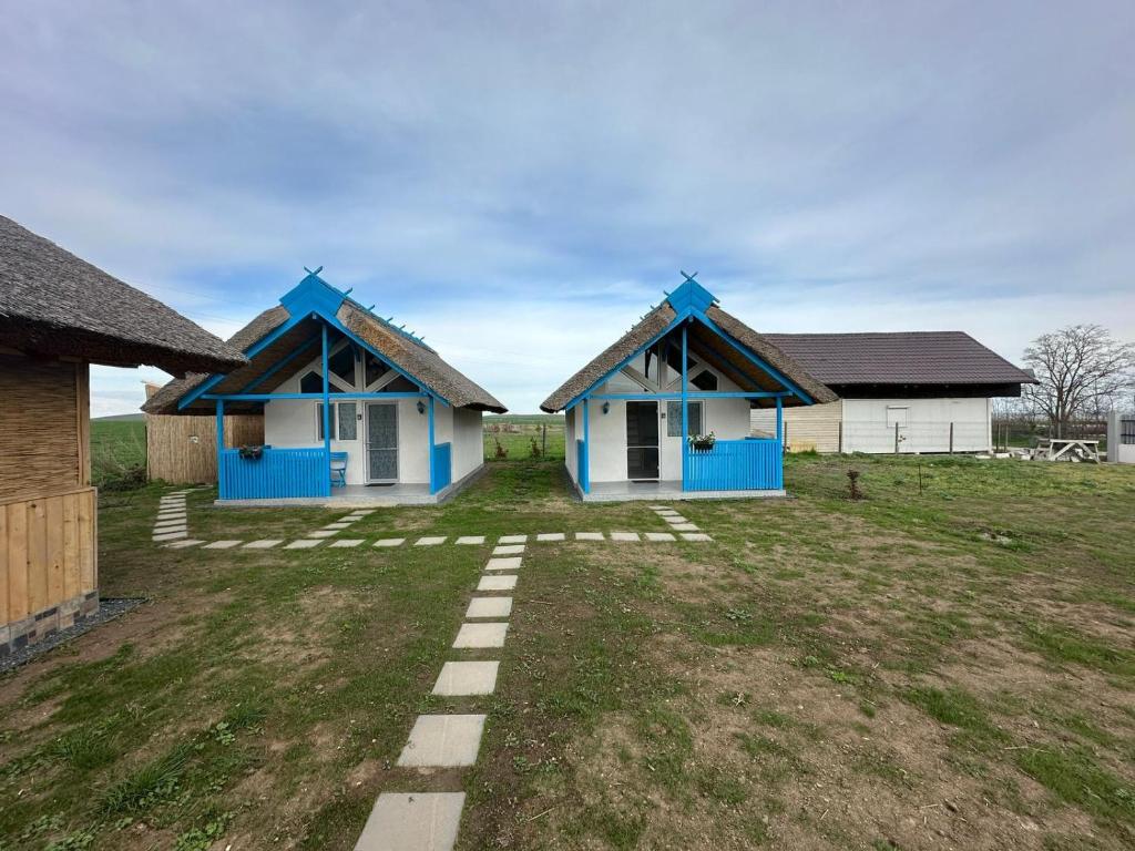 two blue and white houses in a field at La Casute in Jurilovca