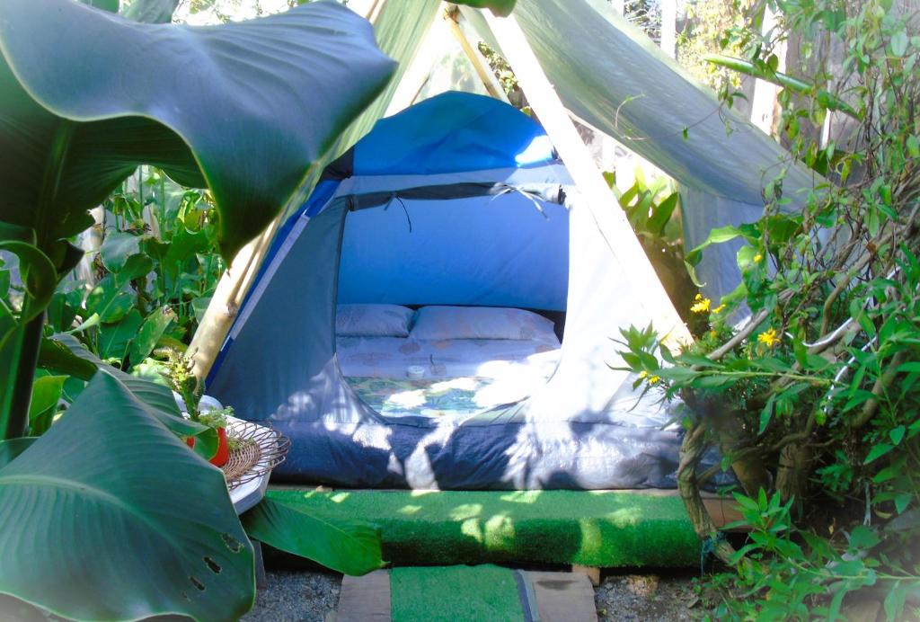 a blue tent with a bed in a garden at Eco Camping Aventura Salento in Salento