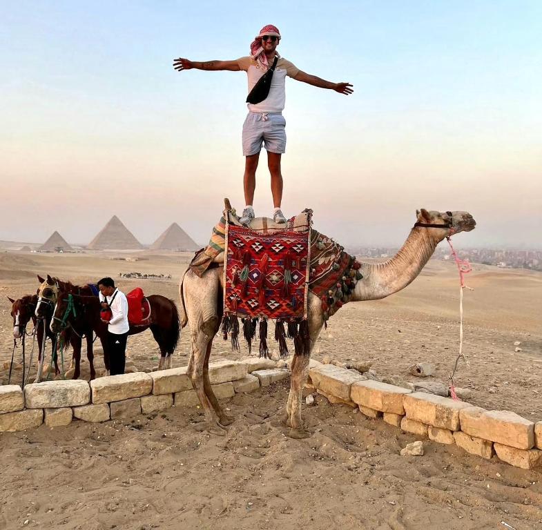 um homem em pé em cima de um camelo nas pirâmides em Diamond pyramids hotel em Cairo
