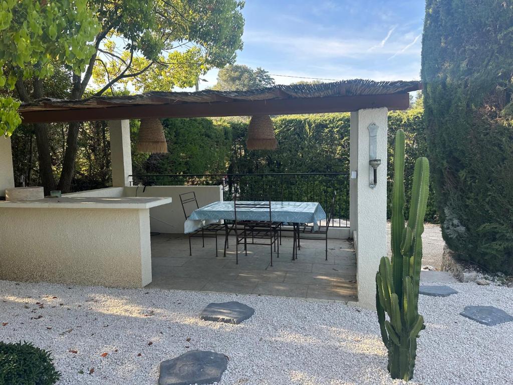 a patio with a table and a cactus at Central Valbonne Villa in Valbonne