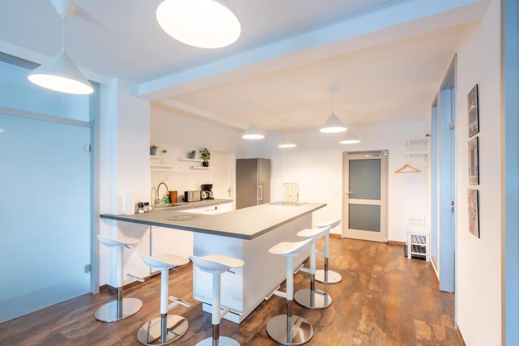 Kuchyň nebo kuchyňský kout v ubytování Zentral gelegenes Premium-Apartment mit viel Tageslicht