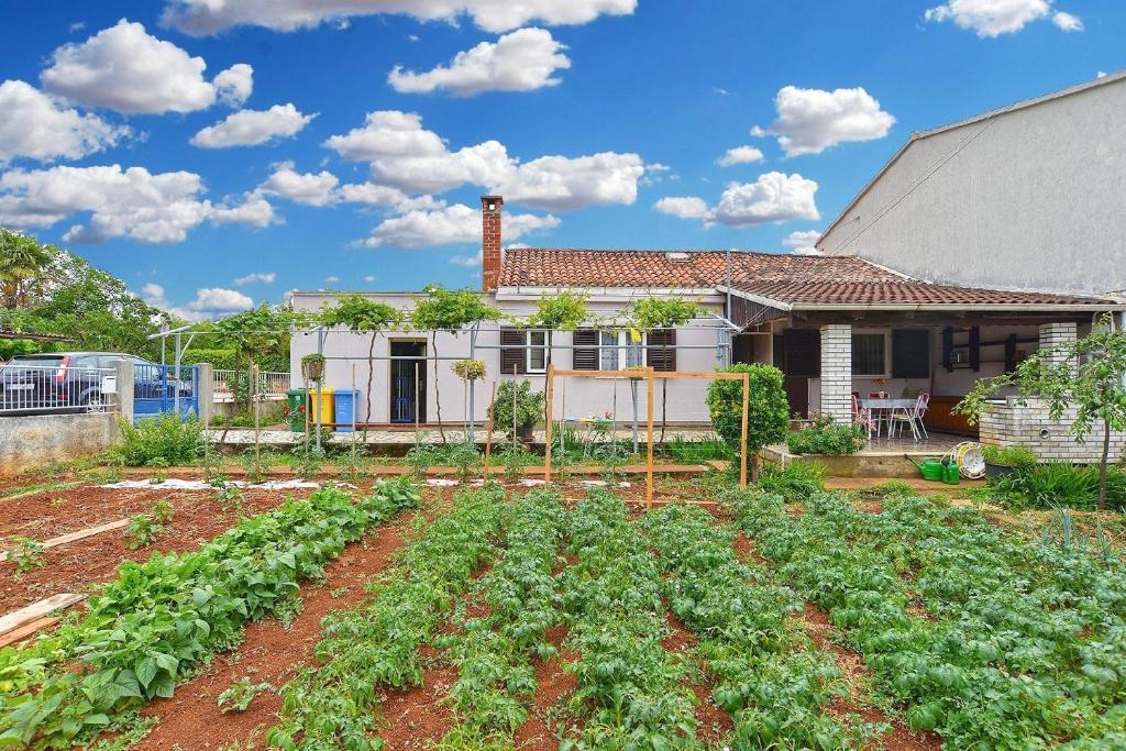 Κήπος έξω από το Ferienhaus für 5 Personen ca 63 qm in Fažana, Istrien Istrische Riviera