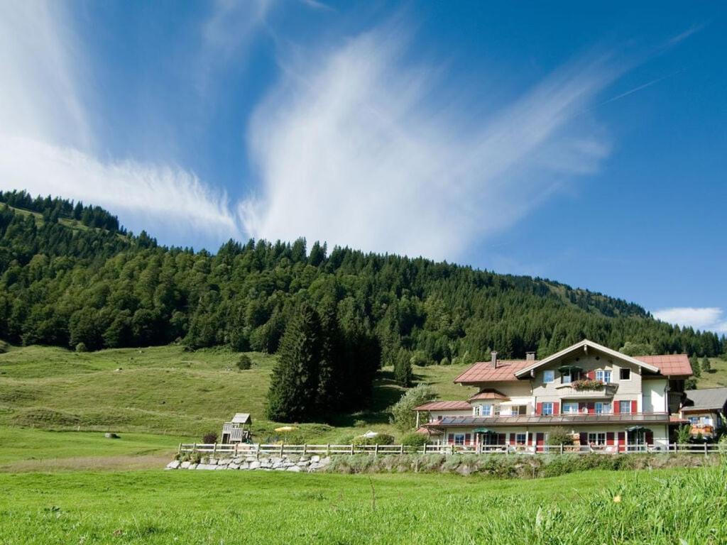 a large house on a hill in a field at 2 in Alpenrösle Modern retreat in Balderschwang