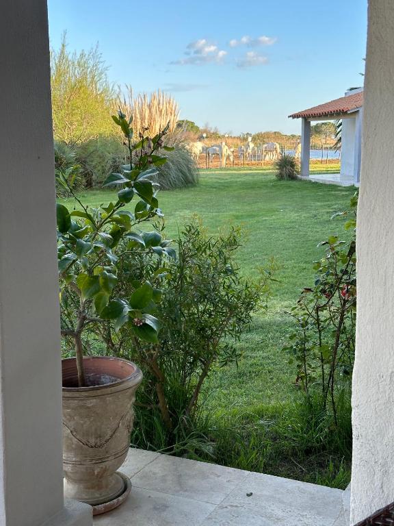 Hotel Mas Des Barres - 3