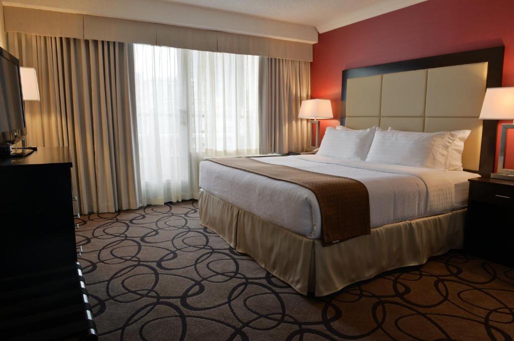 Holiday Inn Montreal Centre Ville Downtown, an IHG Hotel - 行政一卧室套房 - 非吸烟