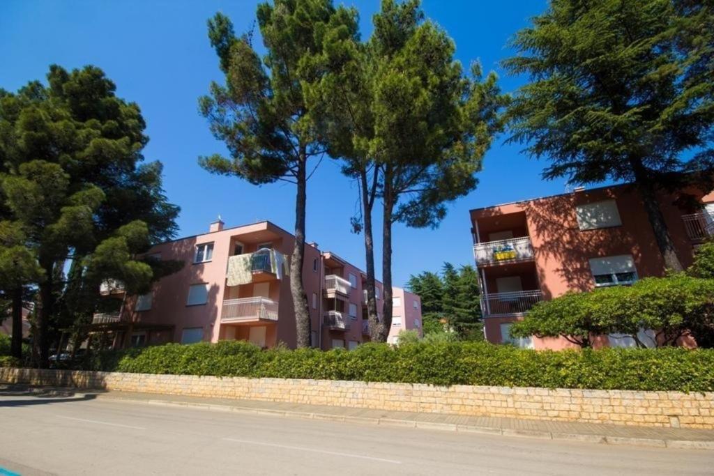 an apartment building with trees in front of a street at Ferienwohnung für 4 Personen ca 45 m in Novigrad, Adriaküste Kroatien Westküste von Istrien in Karpinjan