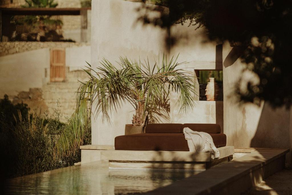 a couch and a palm tree in front of a building at Ecohotel El Agua in Arico el Nuevo