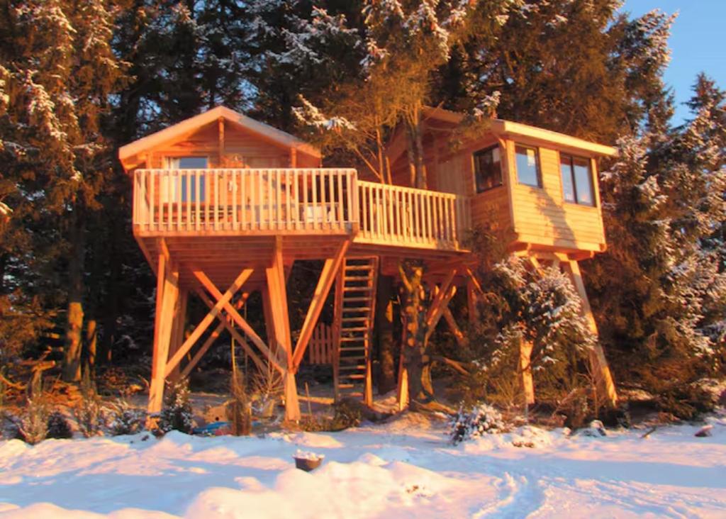 a cabin in the woods in the snow at Cabanes dans les arbres du Forez in Saint-Anthème