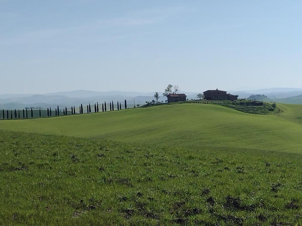 Une colline verdoyante avec une maison en haut dans l'établissement Agriturismo Poggio Repenti, à Corsano