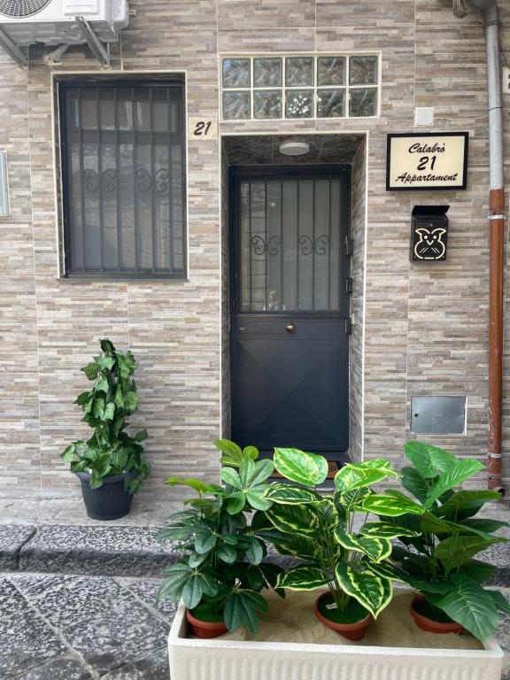 a house with a blue door and some plants at Calabrò 21 Appartament in Catania