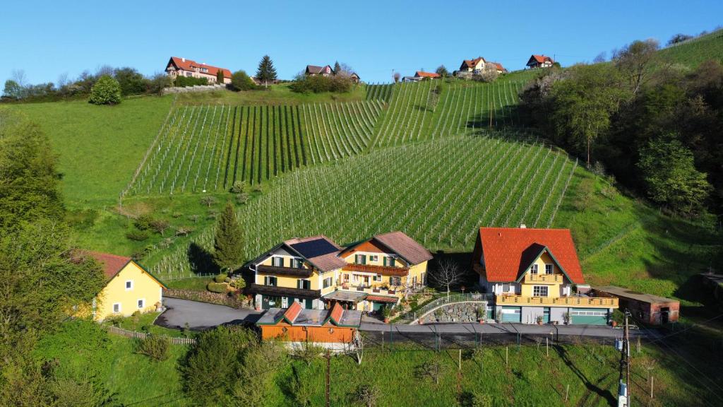 an aerial view of a house on a hill with vineyards at Ferienwohnung Stoff in Kitzeck im Sausal