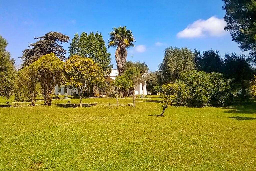 un parque con una palmera y una casa en Villa Chorion, en Corigliano d'Otranto