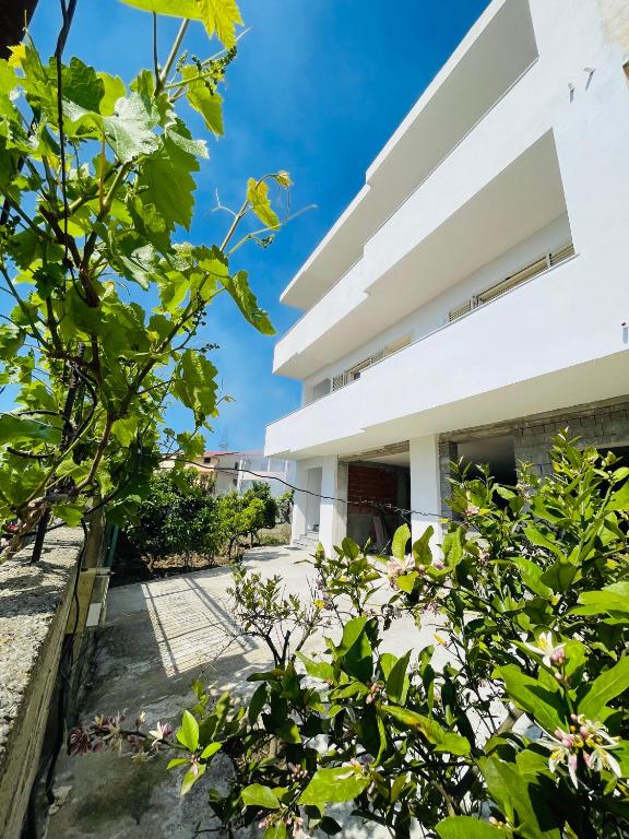 Zahrada ubytování Blendi Guest House