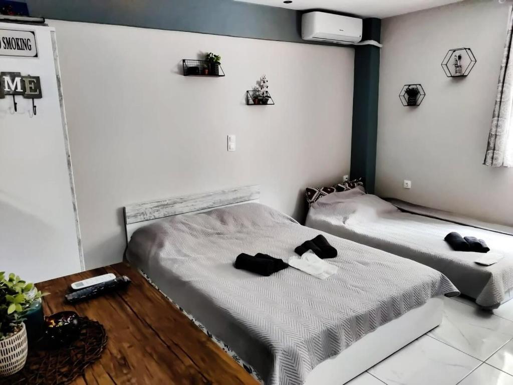 Habitación con 2 camas en una habitación con: en Modern Cozy VerGian Studio 2 min from the Beach, en Agioi Theodoroi