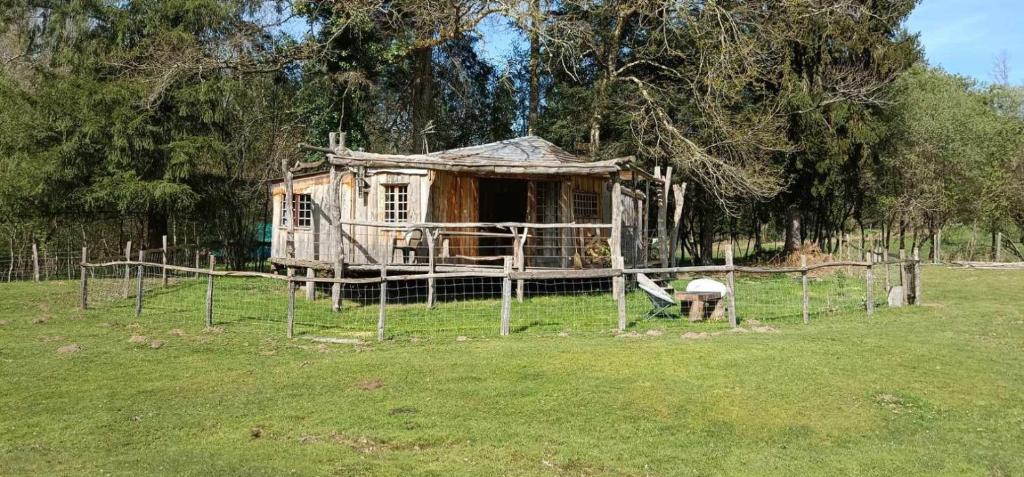 Fotografia z galérie ubytovania Cabanes des Landes- cabane sur pilotis v destinácii Saint-Éloy-les-Tuileries