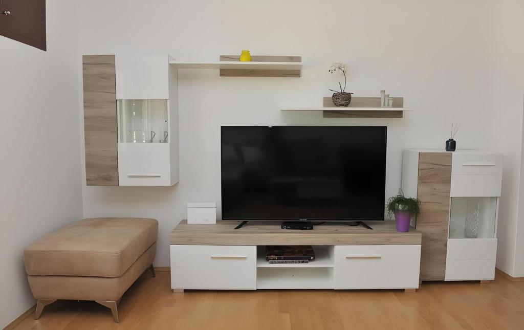 Televízia a/alebo spoločenská miestnosť v ubytovaní Apartment Botanic