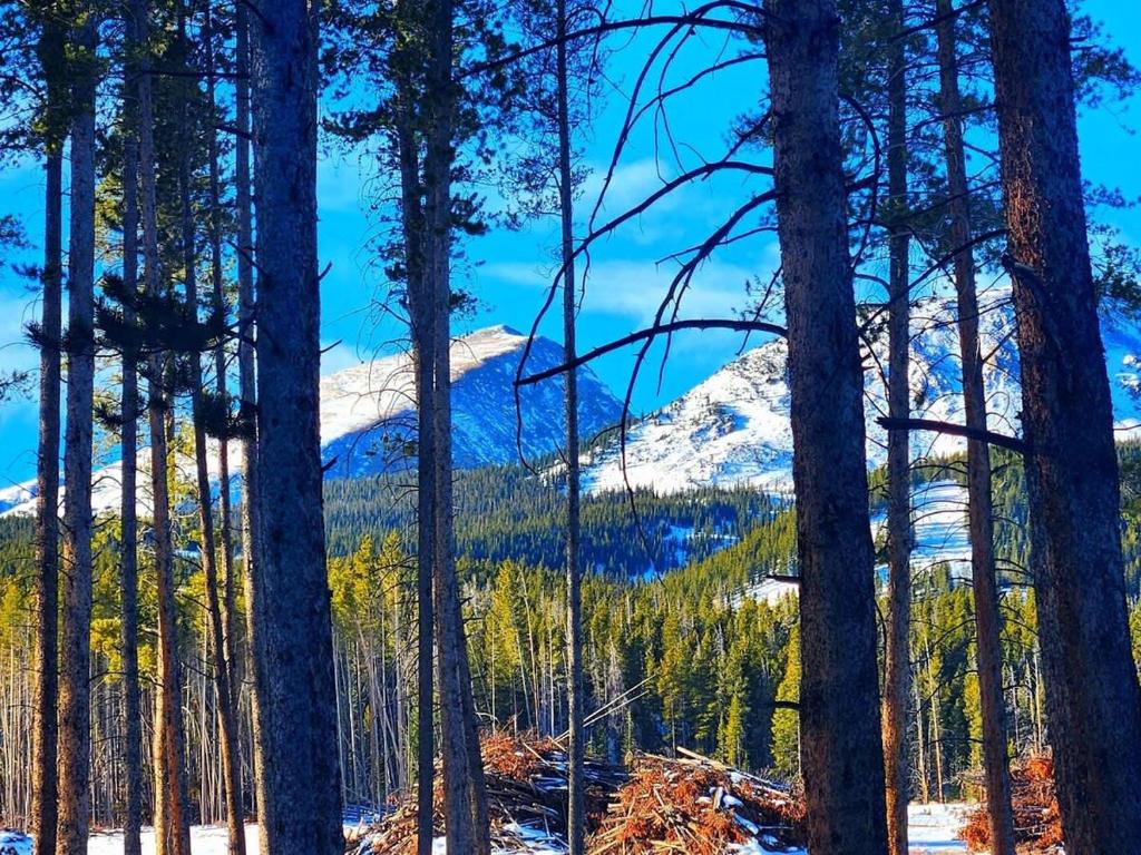 a view of a snow covered mountain through trees at Lazy Fox Lodge in National Forest View in Breckenridge
