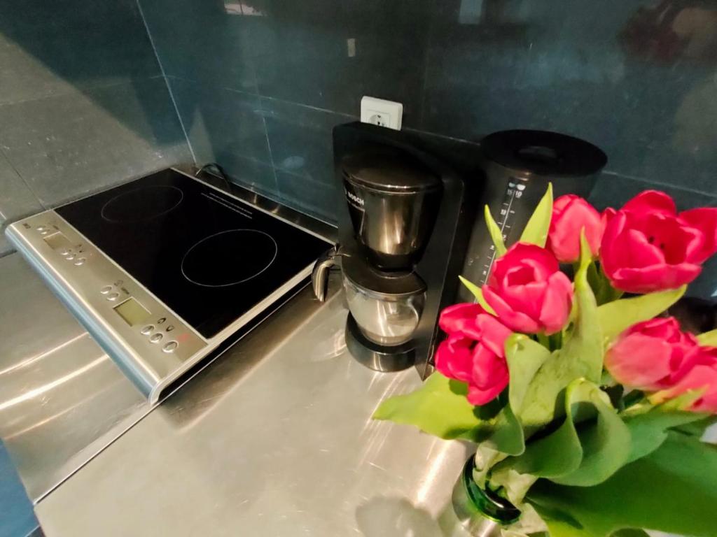 Kuchyň nebo kuchyňský kout v ubytování Rafael Apartments