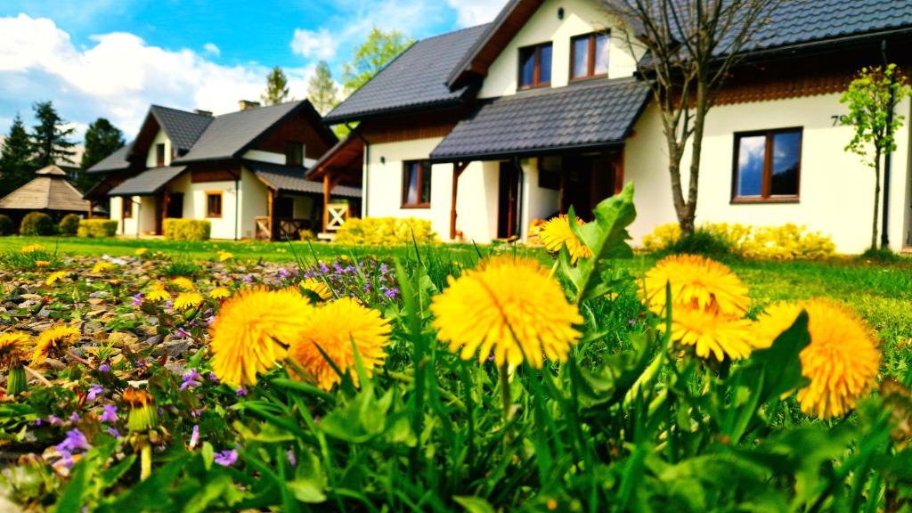a field of yellow flowers in front of a house at Chaty Gajowego in Bukowiec