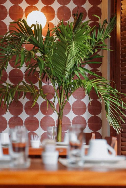 Fotografie z fotogalerie ubytování Luau Hotel v destinaci Guajiru
