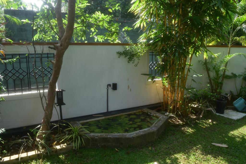 Zahrada ubytování Casa Winnie