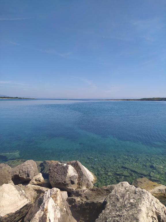 Příroda nedaleko apartmánu
