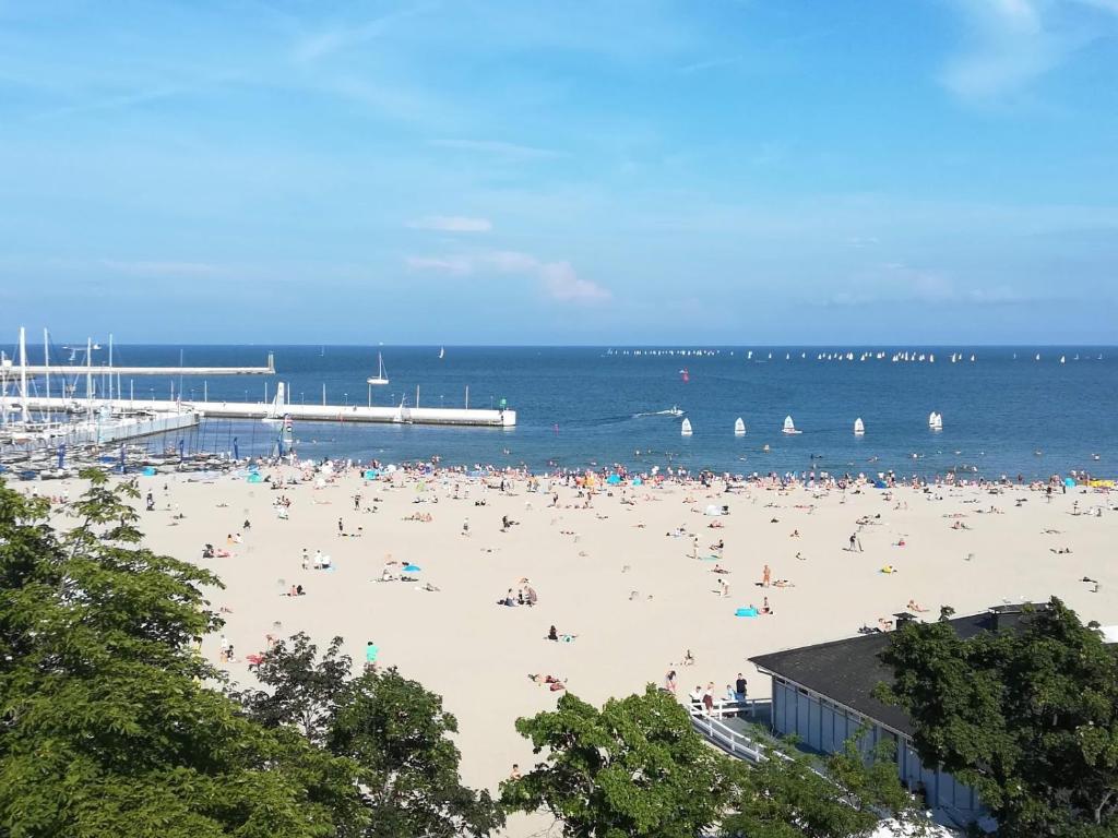 Baltic Plaza Gdynia - MAXIMAL - 10