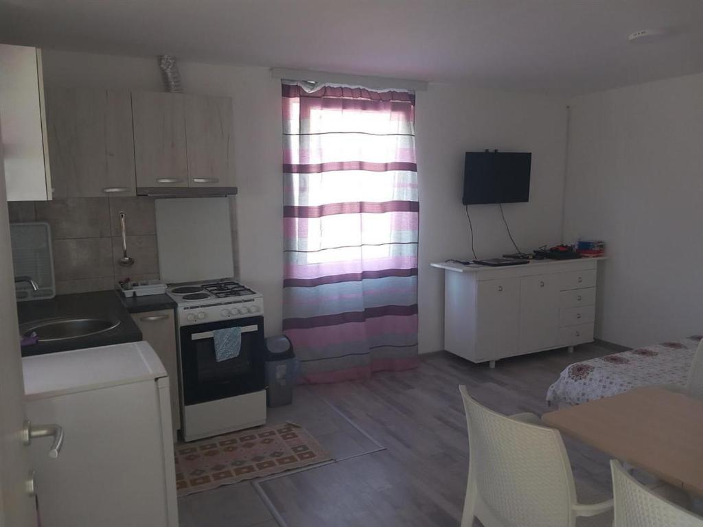 een kleine keuken met een wastafel en een fornuis bij Apartment Hristef in Ljubaništa