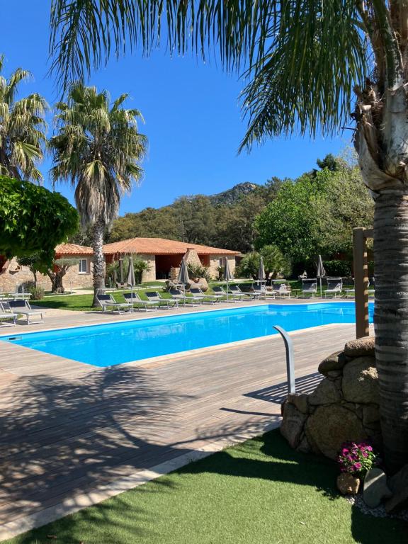 een zwembad in een resort met palmbomen bij Résidence Dolce Vita de Palombaggia in Porto-Vecchio