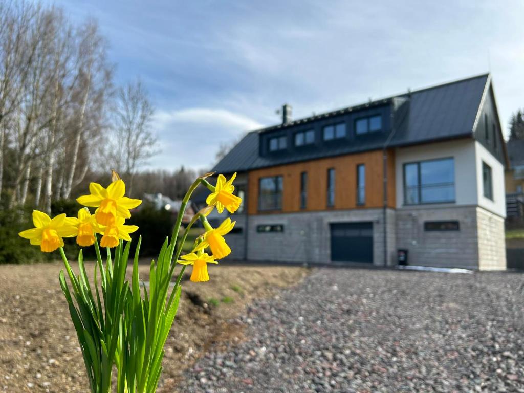 a vase with yellow flowers in front of a house at Horský dům Vojta in Rokytnice nad Jizerou