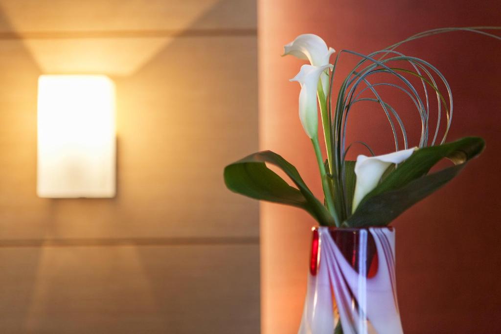 Fotografie z fotogalerie ubytování Inverigo Hotel v destinaci Inverigo
