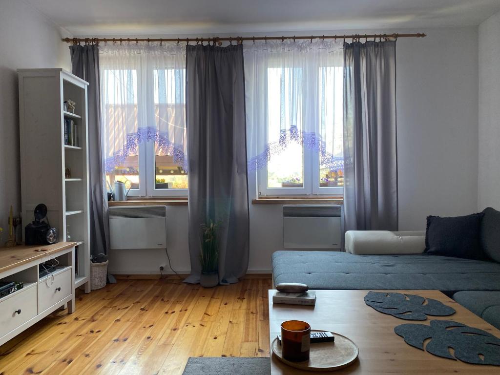 salon z niebieską kanapą i 2 oknami w obiekcie Apartament Hajstra z ogrodem w mieście Grodzisk