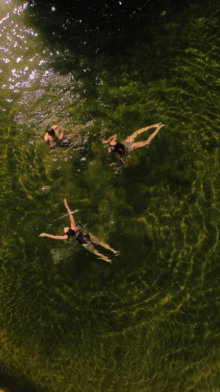 a group of people swimming in the water at Moa Living in Ẕofar