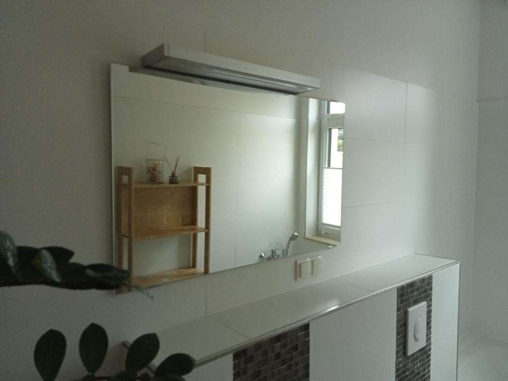 a bathroom with a sink and a mirror at Stadtgrün 1 in Berlin
