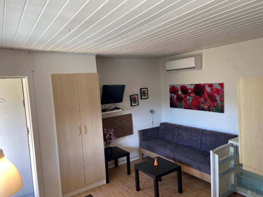TV a/nebo společenská místnost v ubytování Marielyst Beach and downtown rooms