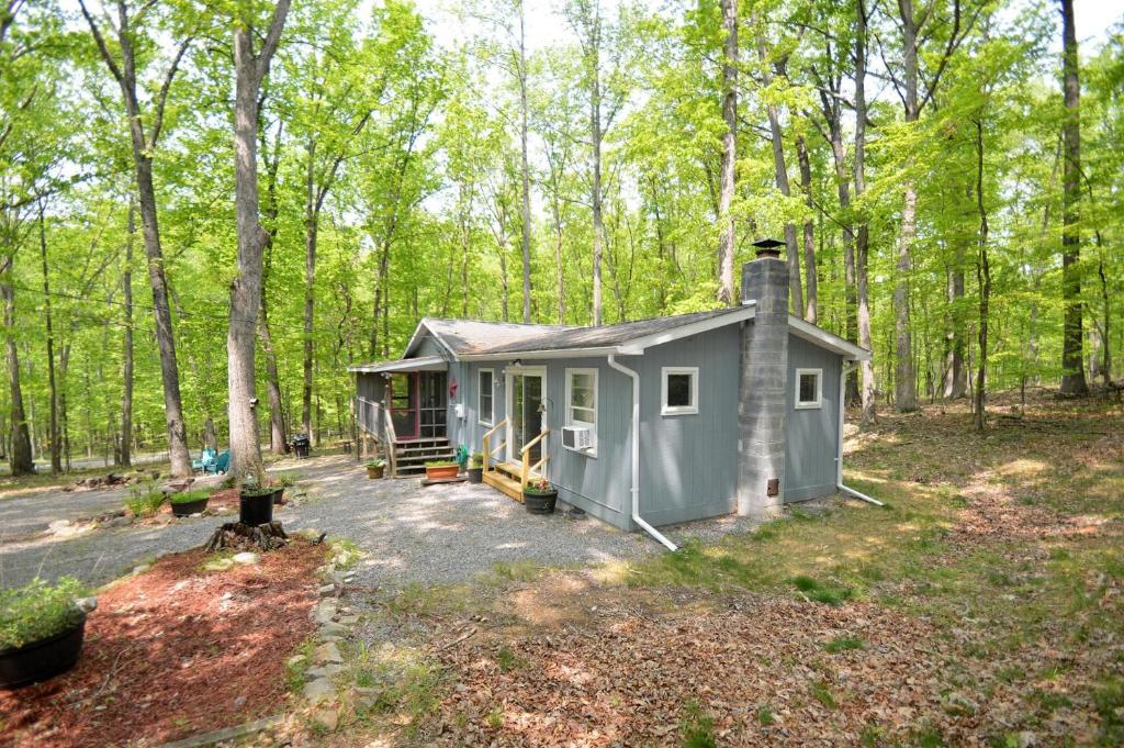a small house in the middle of a forest at Bear Necessities -Forget your Worries! in Great Cacapon