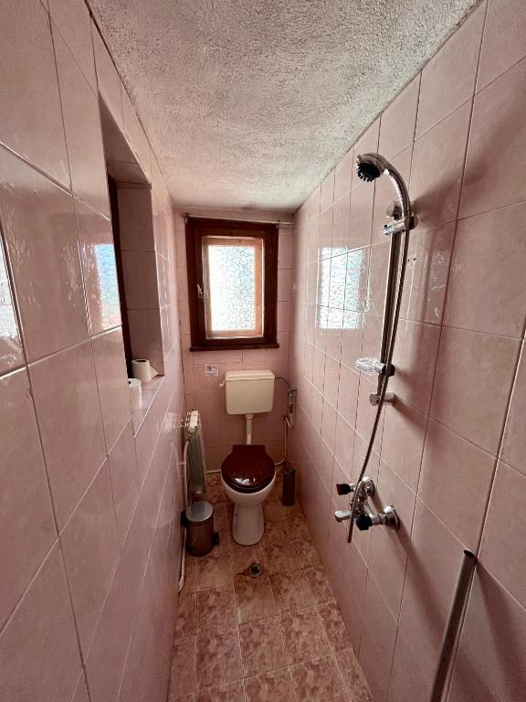 Fotografie z fotogalerie ubytování Luylyana Guesthouse v destinaci Ribarica